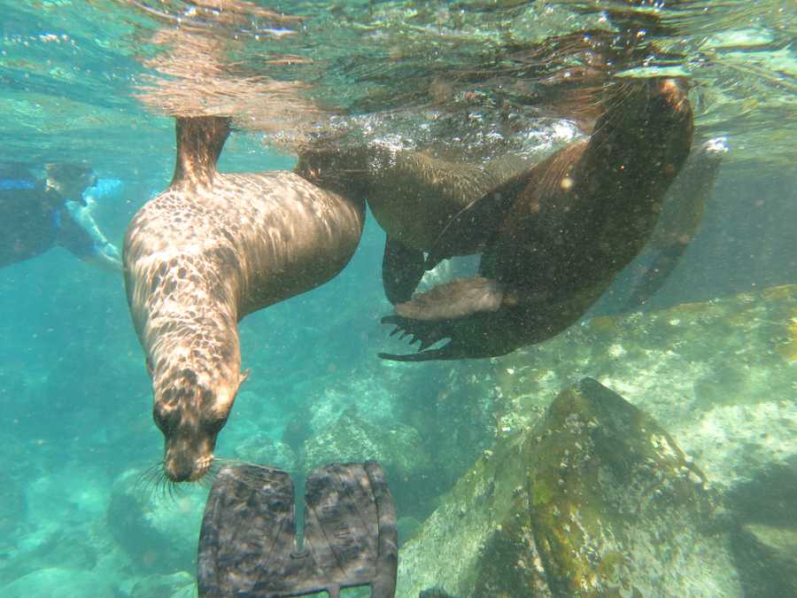 timeline-image-Day 3