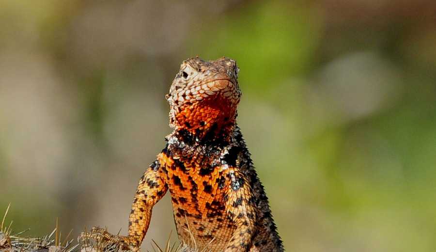 timeline-image-Day 1