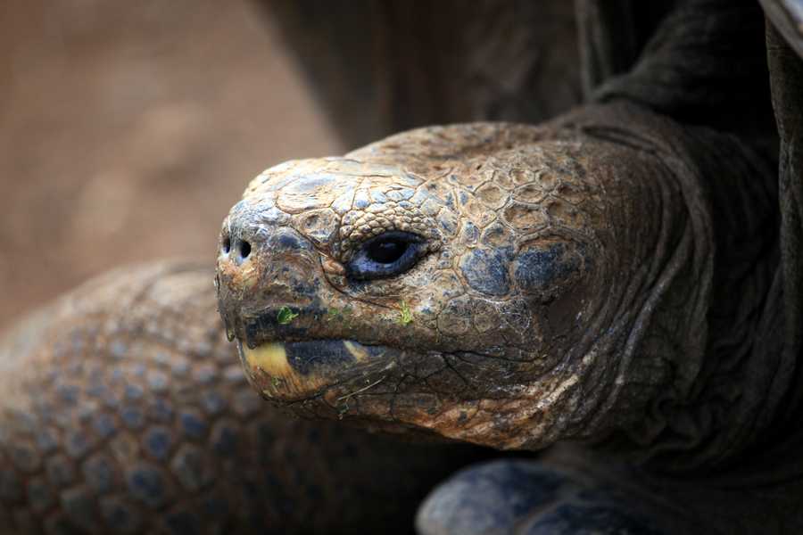 timeline-image-Day 8