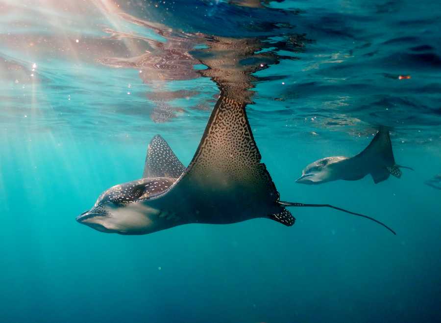 timeline-image-Day 4