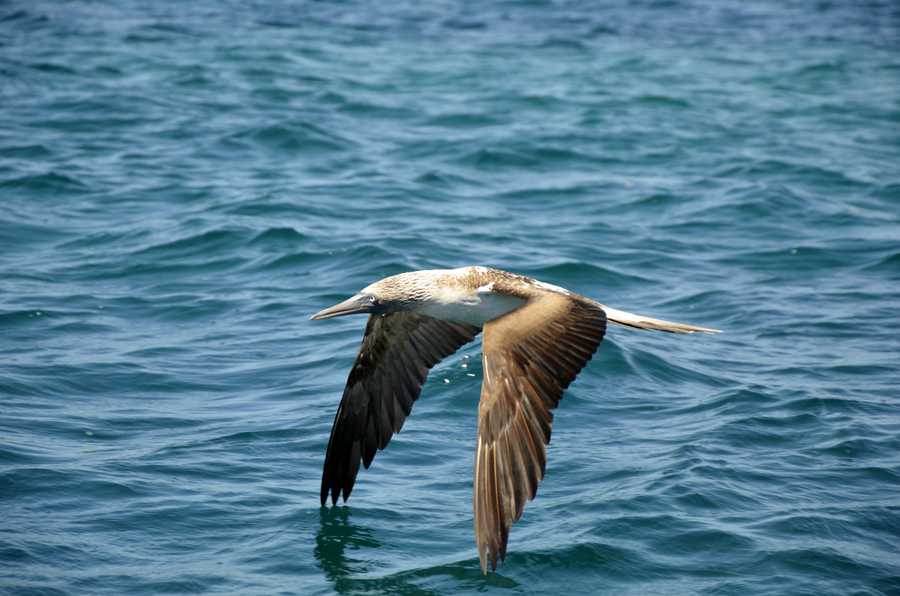 timeline-image-Day 1