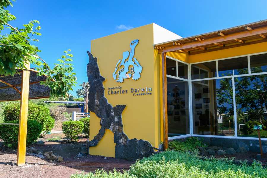 timeline-image-Day 5