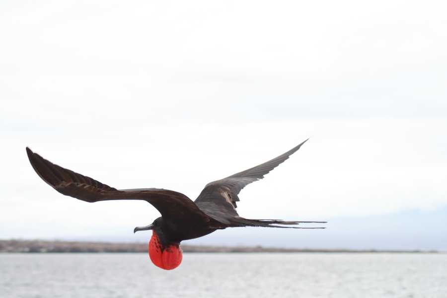 timeline-image-Day 1