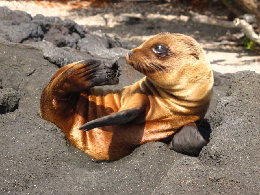 timeline-image-Day 8