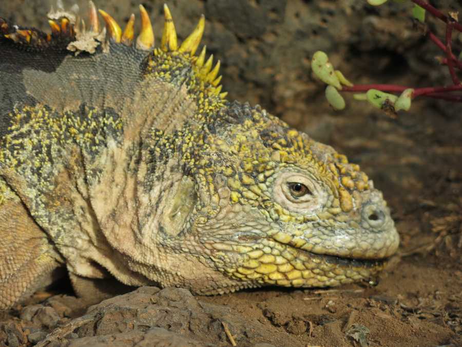 timeline-image-Day 2