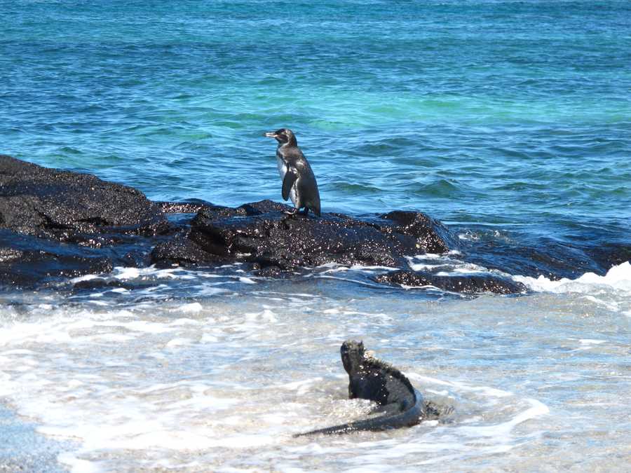 timeline-image-Day 7