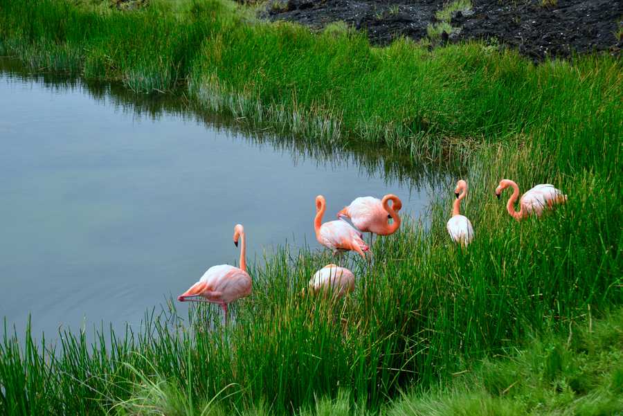 timeline-image-Day 2