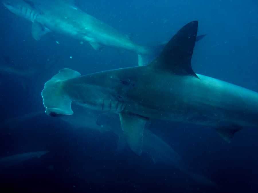 timeline-image-Day 6