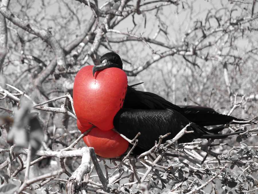 timeline-image-Day 2