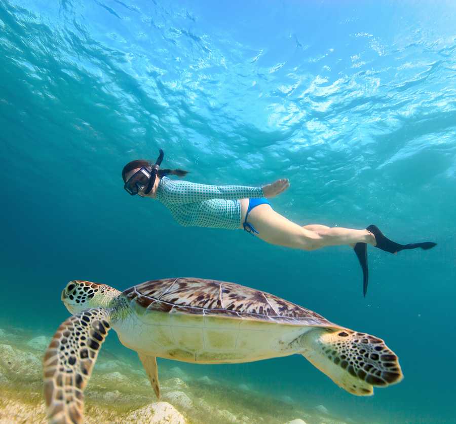 timeline-image-Day 4