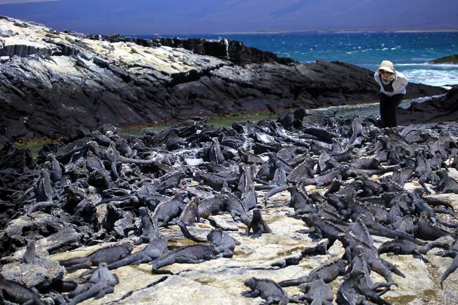 timeline-image-Day 1