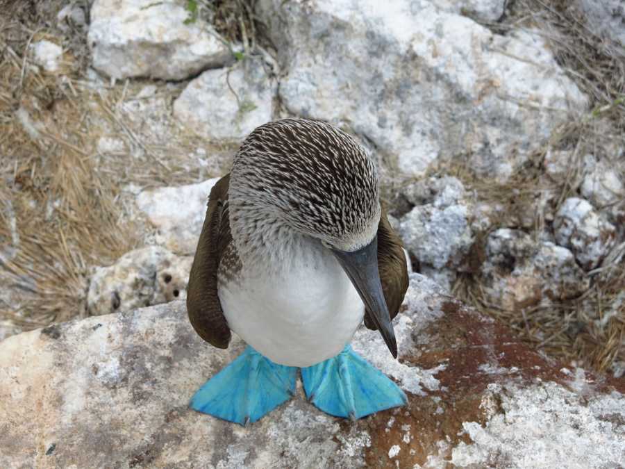 timeline-image-Day 1