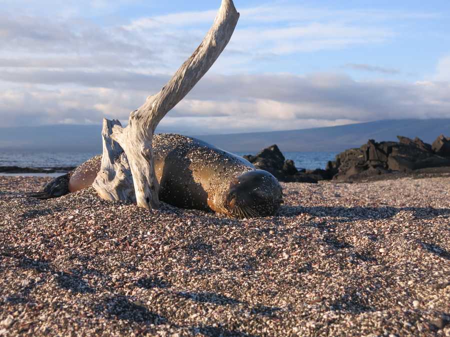 timeline-image-Day 4