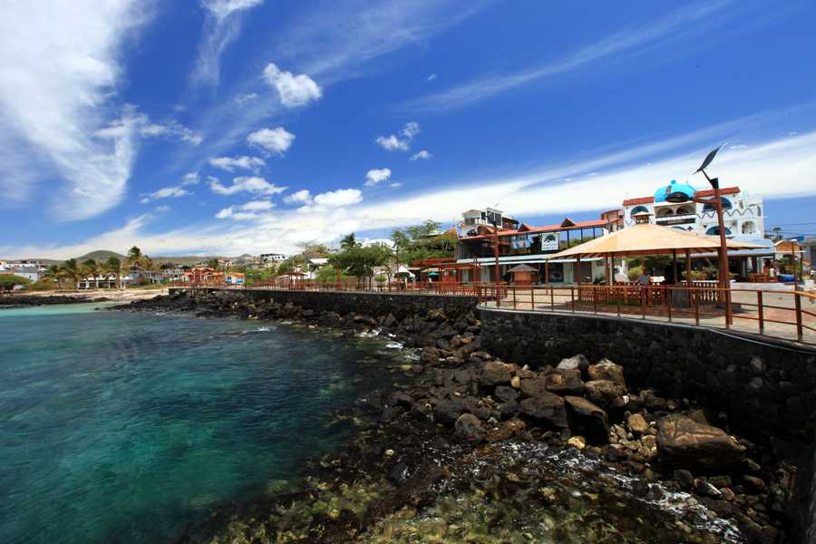 timeline-image-Day 5