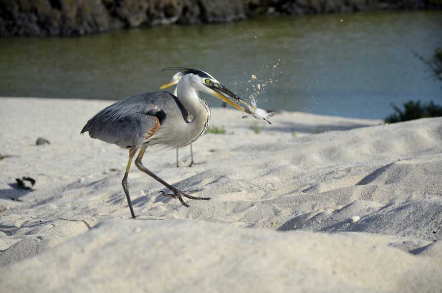 timeline-image-Day 2